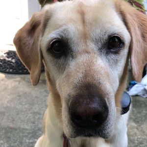 Meet your Posher, Zach